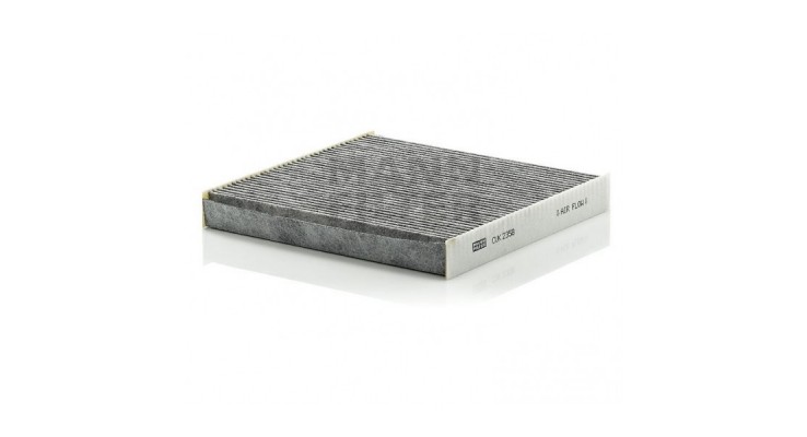 Polen Filtresi (Karbonlu)